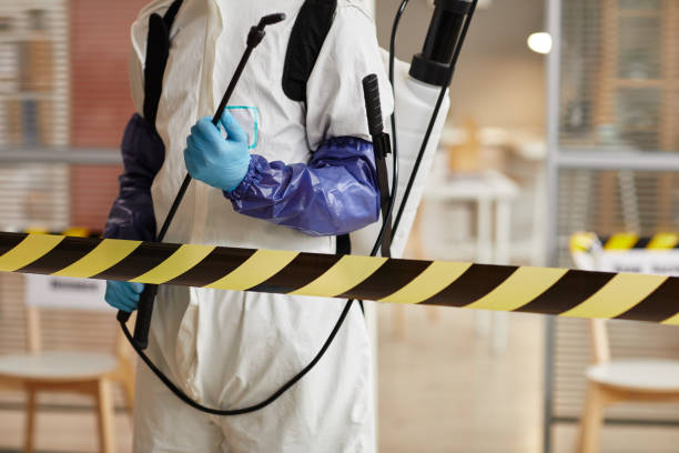 Professional Sewage Cleanup technician working in Louisville, OH